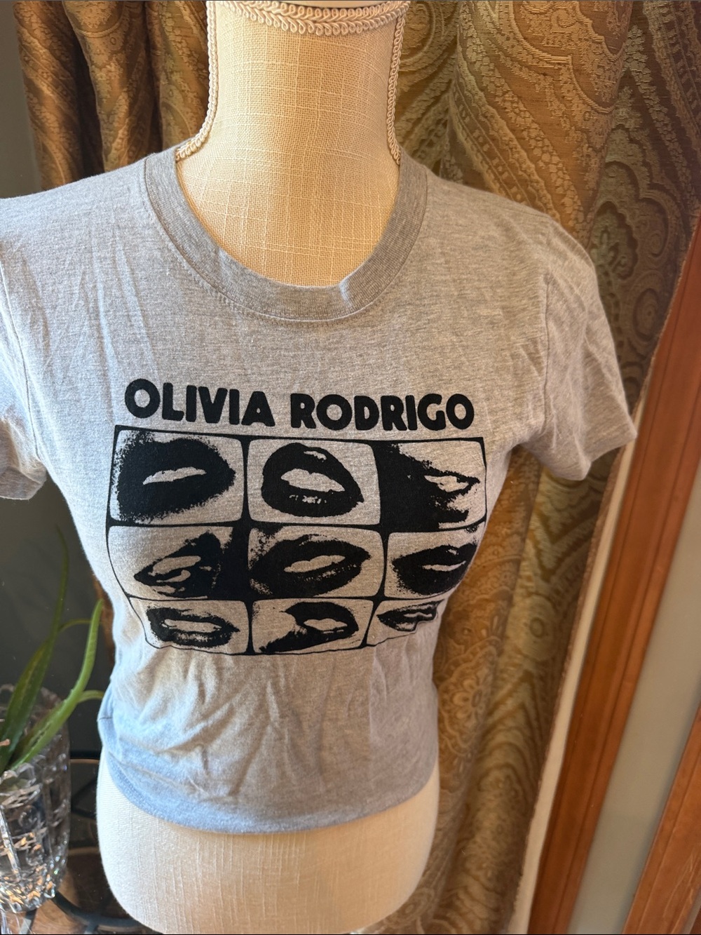 Holi ster Olivia Rodrigo gray Graphic Crop Tee
